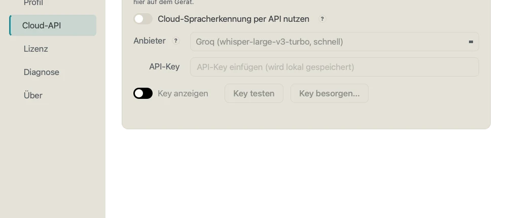 Einstellungen, Seite Cloud-API: Schalter für die Cloud-Spracherkennung, Anbieterauswahl und Feld für den API-Schlüssel